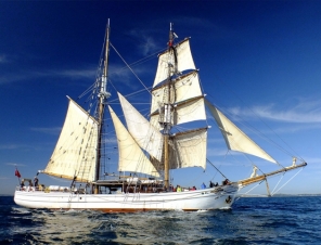 The Soren Larsen tall ship Sydney Harbour Twilight Cruise